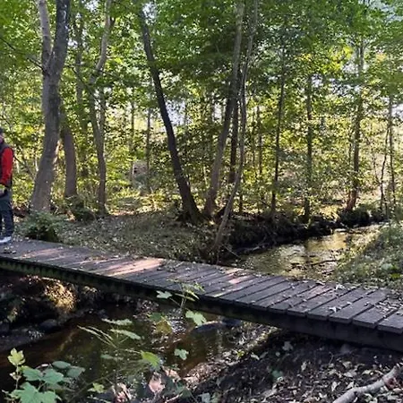 Comfortable Summer House In 아벤라