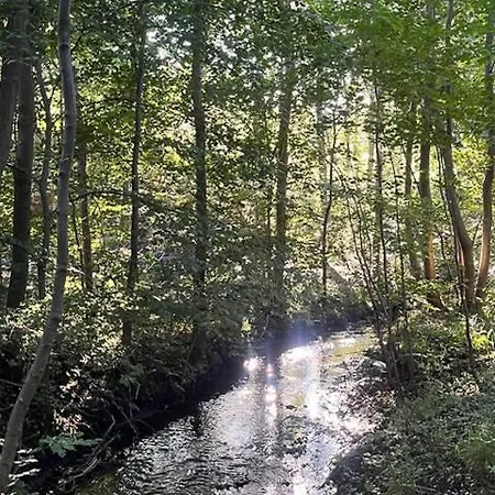 펜션 Comfortable Summer House In